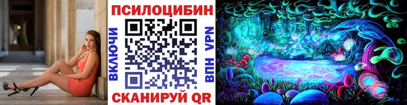 закладки  Уфа  Галлюциногенные грибы Psilocybine cubensis 
